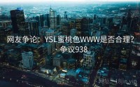 网友争论：YSL蜜桃色WWW是否合理？ · 争议938
