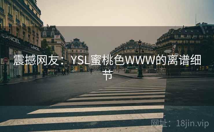 震撼网友：YSL蜜桃色WWW的离谱细节