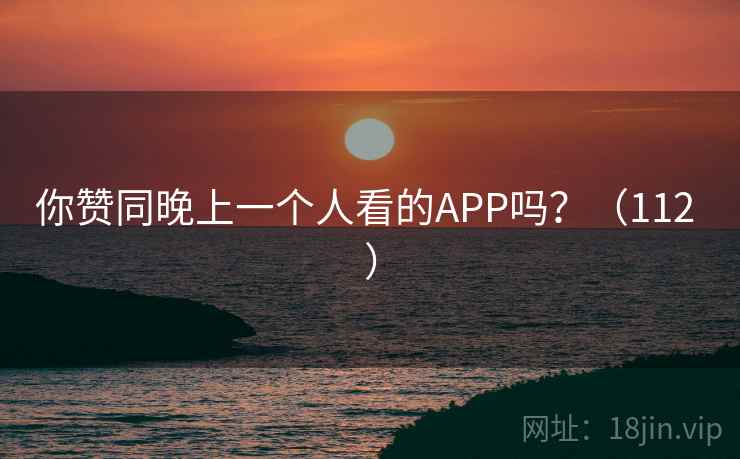 你赞同晚上一个人看的APP吗？（112 ）