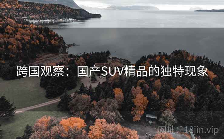 跨国观察：国产SUV精品的独特现象