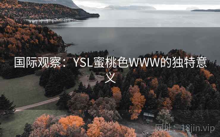 国际观察：YSL蜜桃色WWW的独特意义